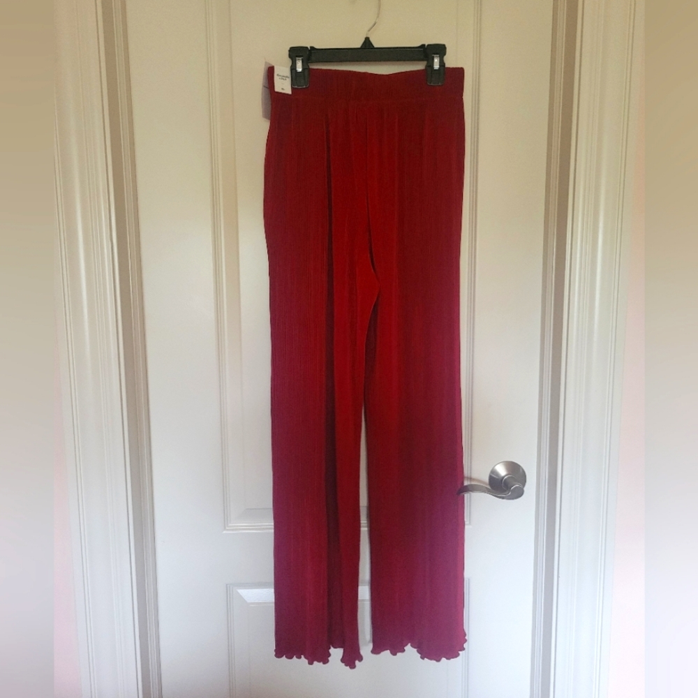 NWT A&F pleated wide leg pants
